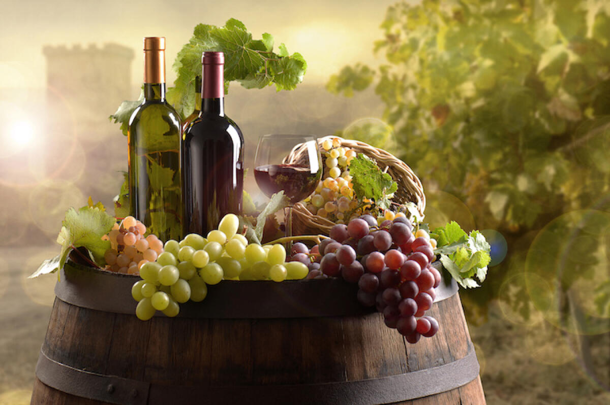 Italia: tra Campari e Ferrari, sfreccia il settore vinicolo - 