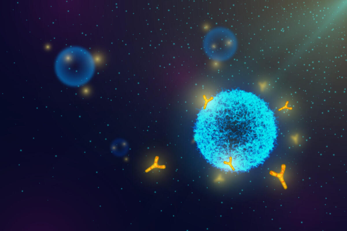 Coronavirus e immunità: quanto tempo sopravvivono gli anticorpi contro il Covid-19? - 