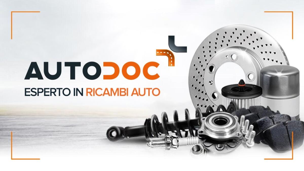 Parti per Camion e accessori - auto-doc.it