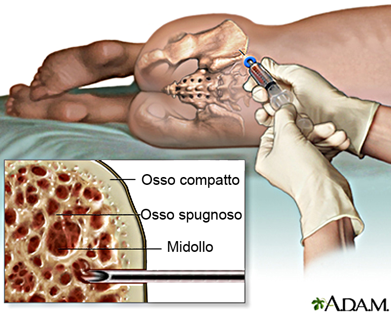 credits: superagatoide.altervista.org