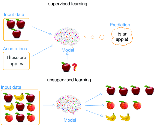 (Sopra) apprendimento supervisionato in cui le mele sono espressamente contrassegnate. (Sotto) esempio di apprendimento non supervisionato. Credits: https://www.researchgate.net