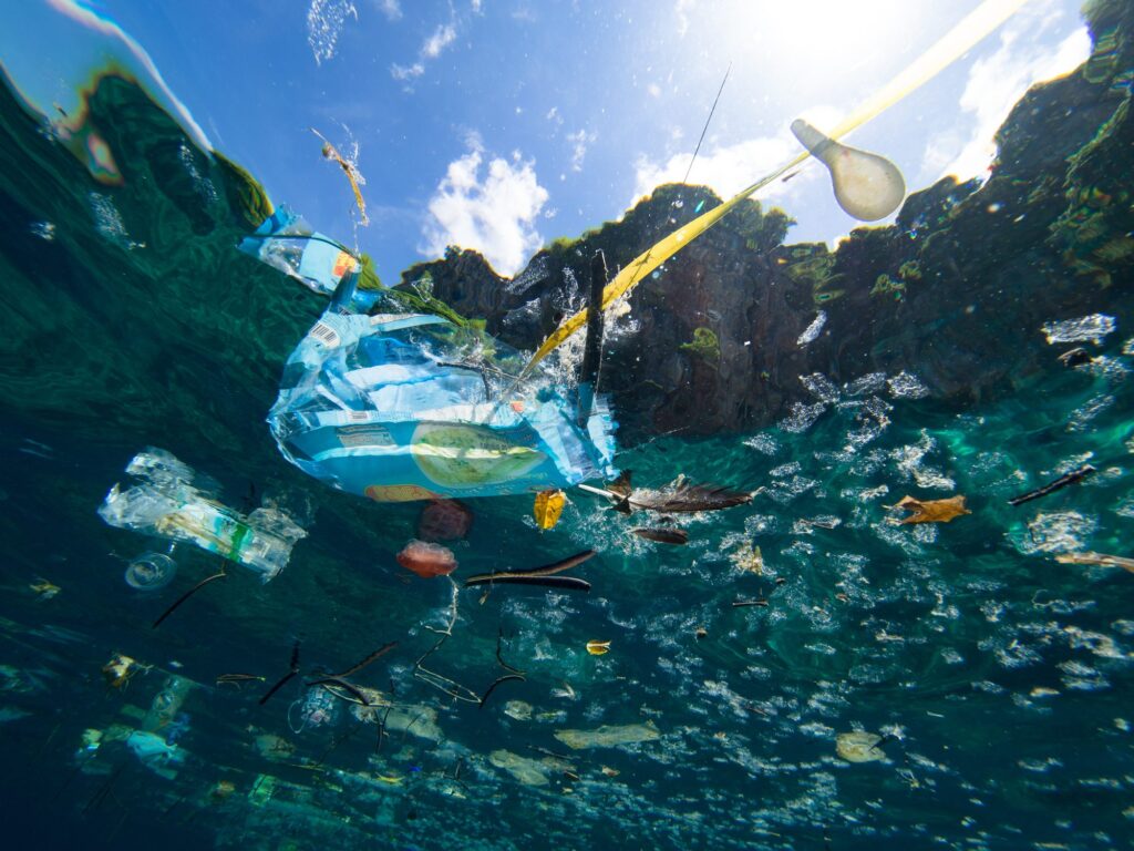 Giornata mondiale degli oceani: un futuro per i mari sostenibili