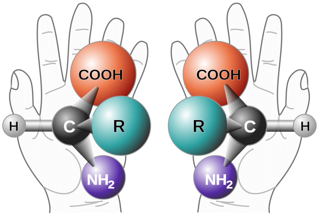 Chiralità, Wikipedia