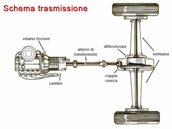 Organi di trasmissione