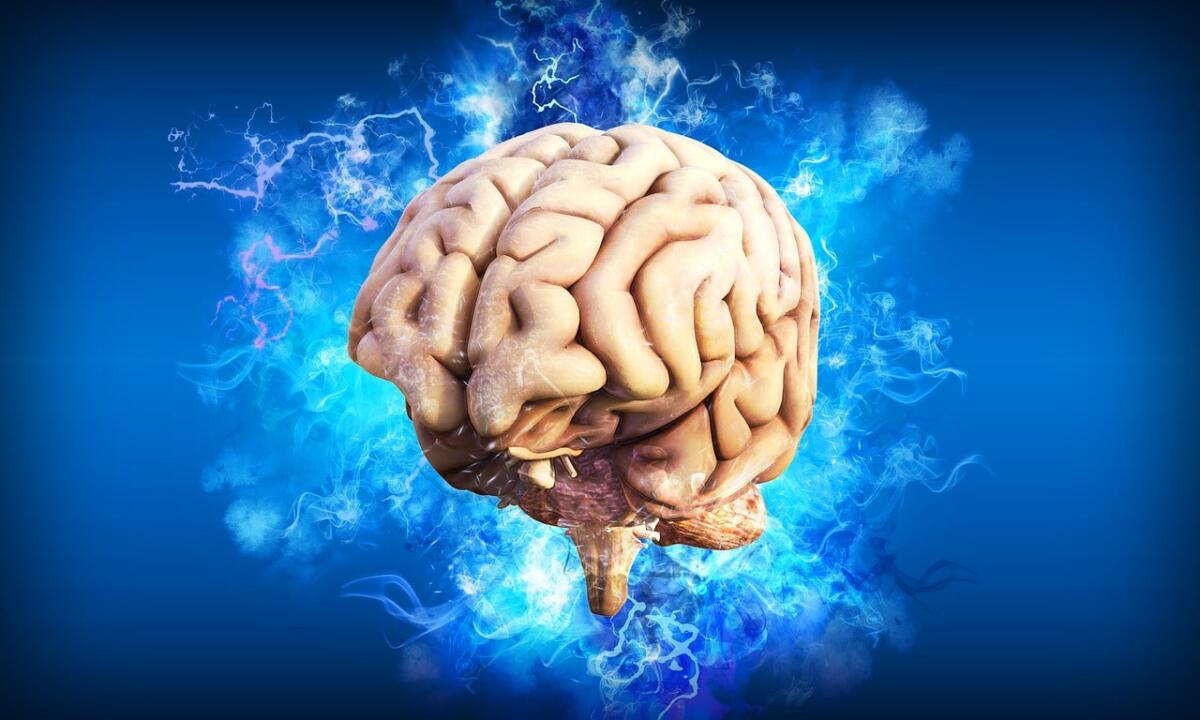 Dopo un ictus si risveglia dal coma e parla con accento slavo: primo caso in Italia - 