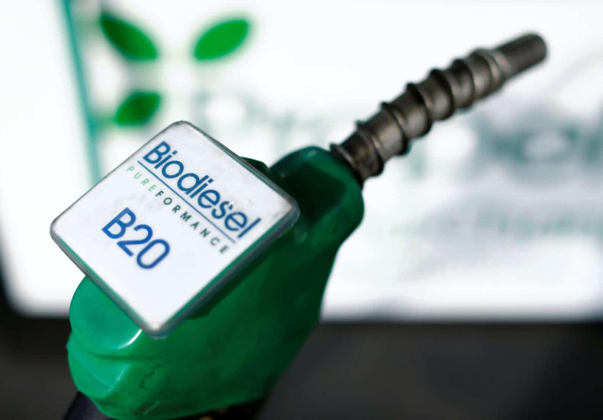 Il biodiesel è una reale alternativa? - Biodiesel, crediti: infobae.com/Mike Blake/File Photo