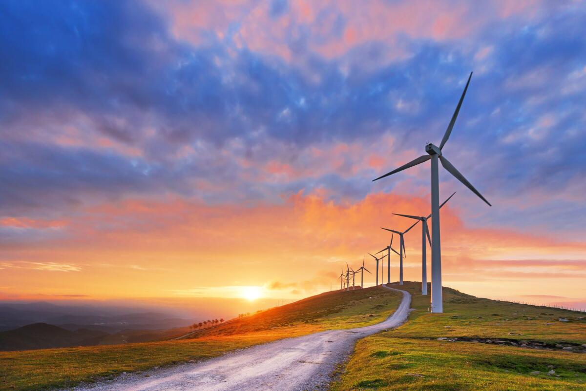 Impatto ambientale delle turbine eoliche: flora, fauna, rumore e paesaggio - ohga.it