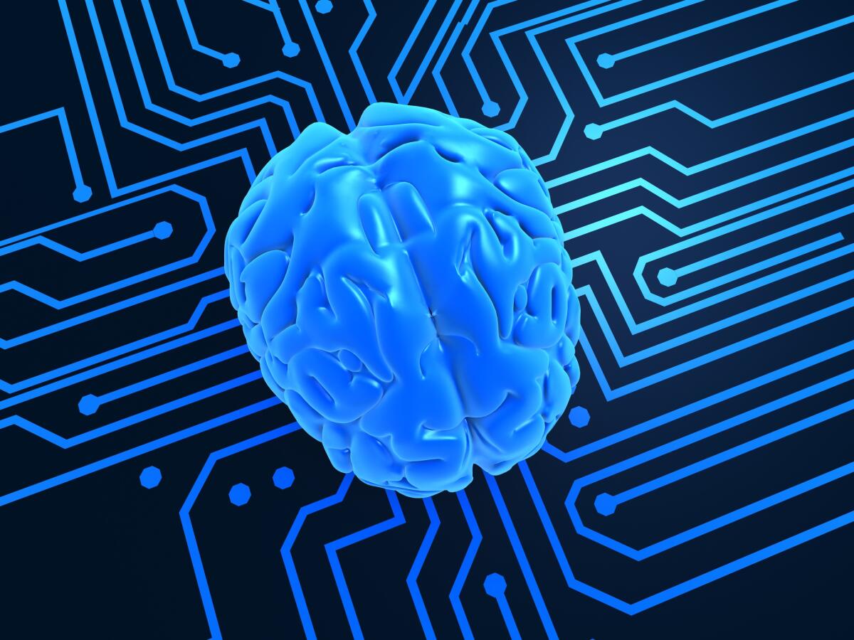 Il cervello artificiale: replicare in laboratorio il nostro organo più complesso - Il Cervello Artificiale: replicare in laboratorio il nostro organo più complesso