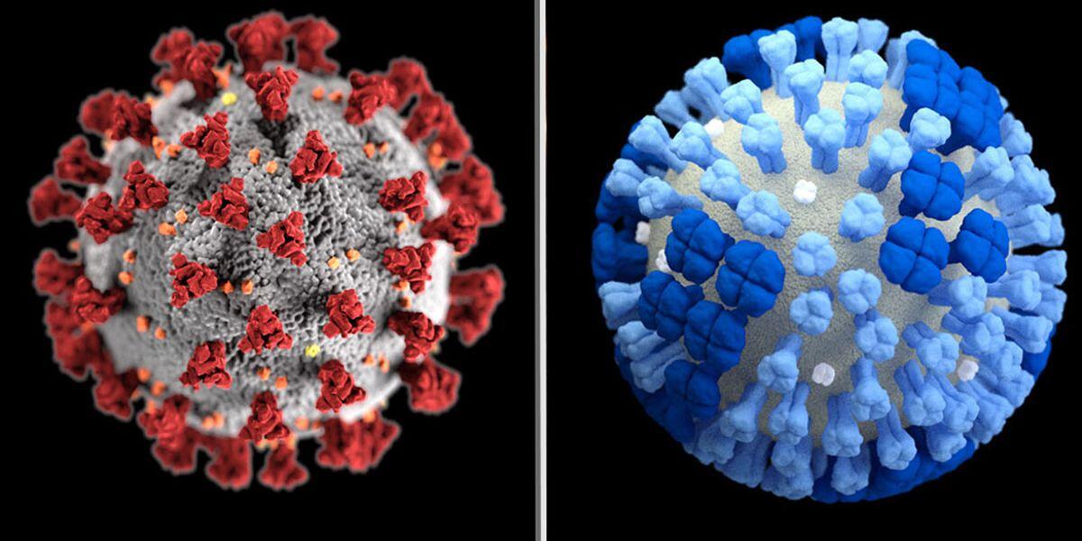 Covid19 o influenza? La diagnosi veloce con il doppio sensore in grafene - covid19 influenza sensore doppio grafene seconda ondata contagi credits: newschannel10.com