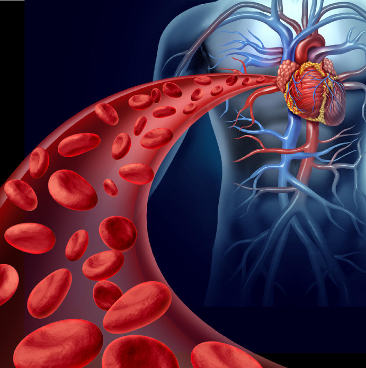 Globuli rossi artificiali: dal trasporto di ossigeno alle terapie antitumorali - globuli rossi artificiali sangue sistema cardiocircolatorio tumore