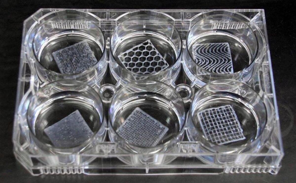 Bioprinting: le nuove frontiere della rigenerazione ossea - Set di scaffold realizzati con 3D Bioplotter Envisiontec
