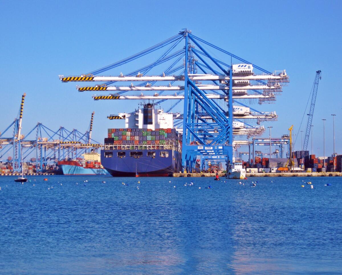 EGO International: le prospettive dell’export italiano - 