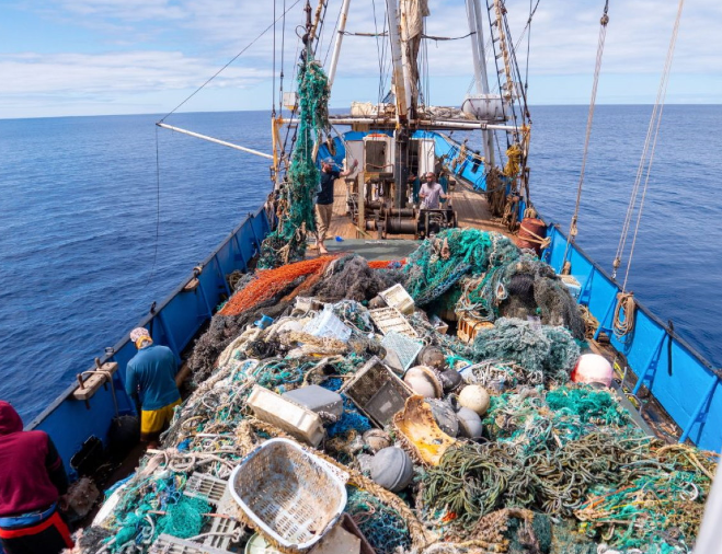 oceanvoyagesinstitute.org