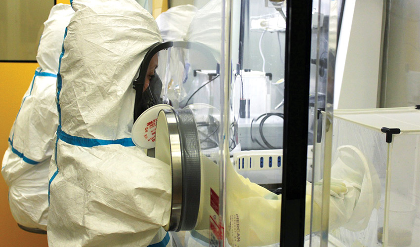 Studio in laboratorio della trasmissibilità del coronavirus attraverso le zanzareCredits: IZSVe