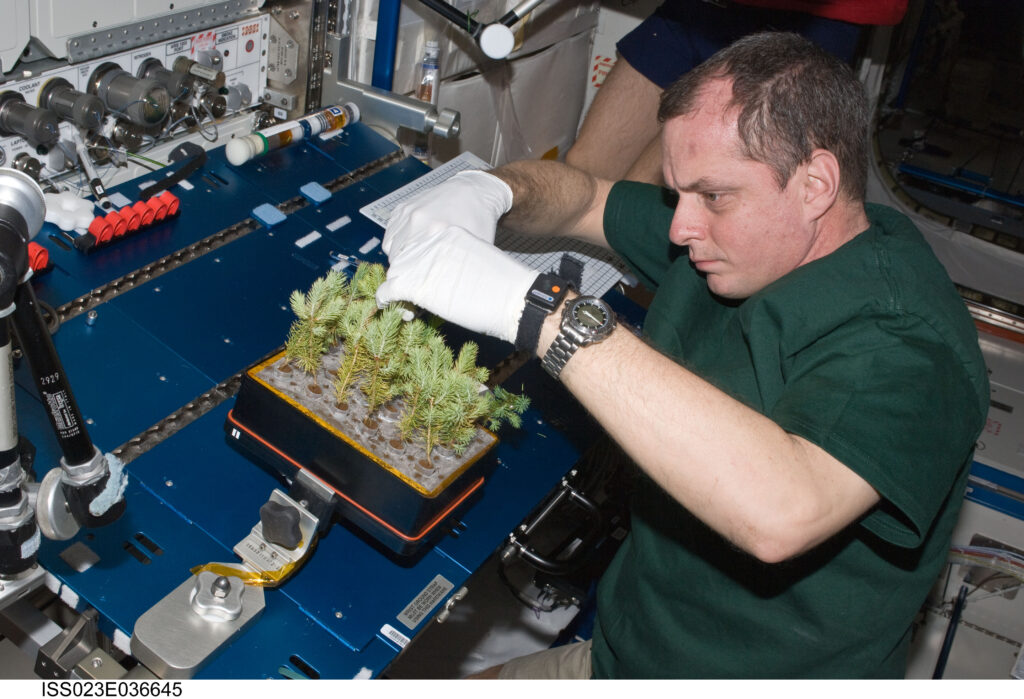 L'astronauta T.J. Creamer lavora sul Advanced Plant Experiments on Orbit-Cambium (APEX-Cambium)Credits: NASA