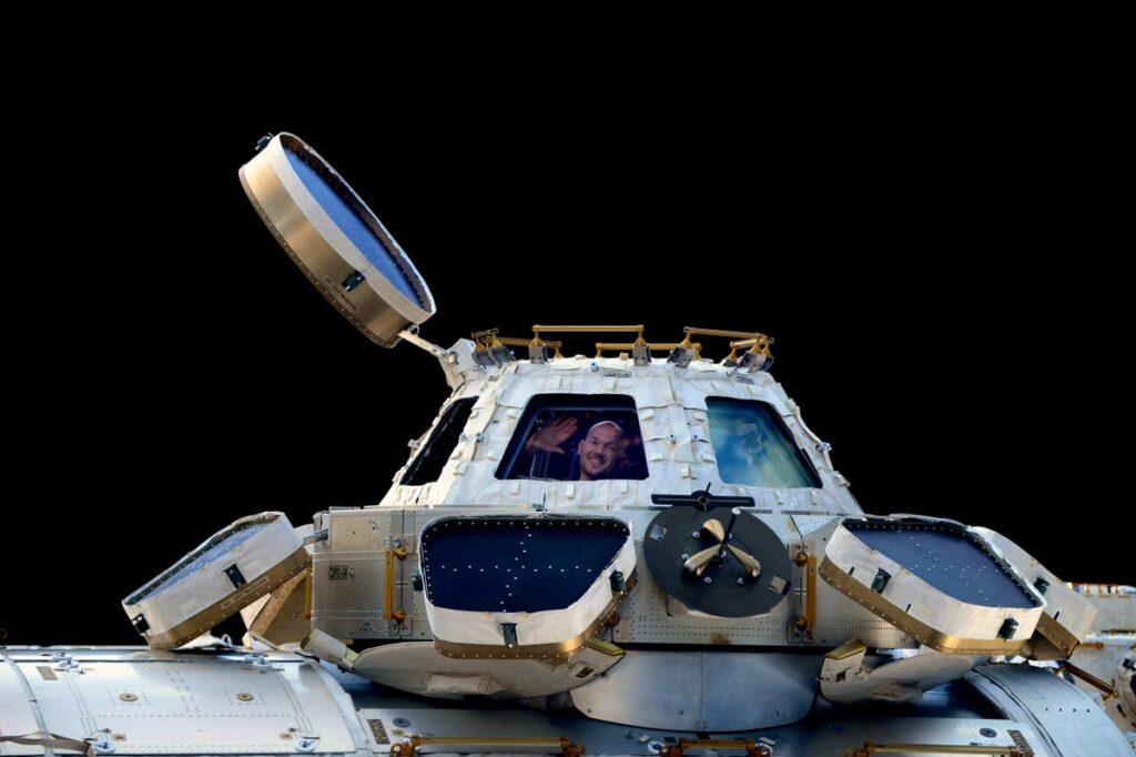 L'astronauta Alexander Gerst si affaccia alla cupolaCredits: ESA