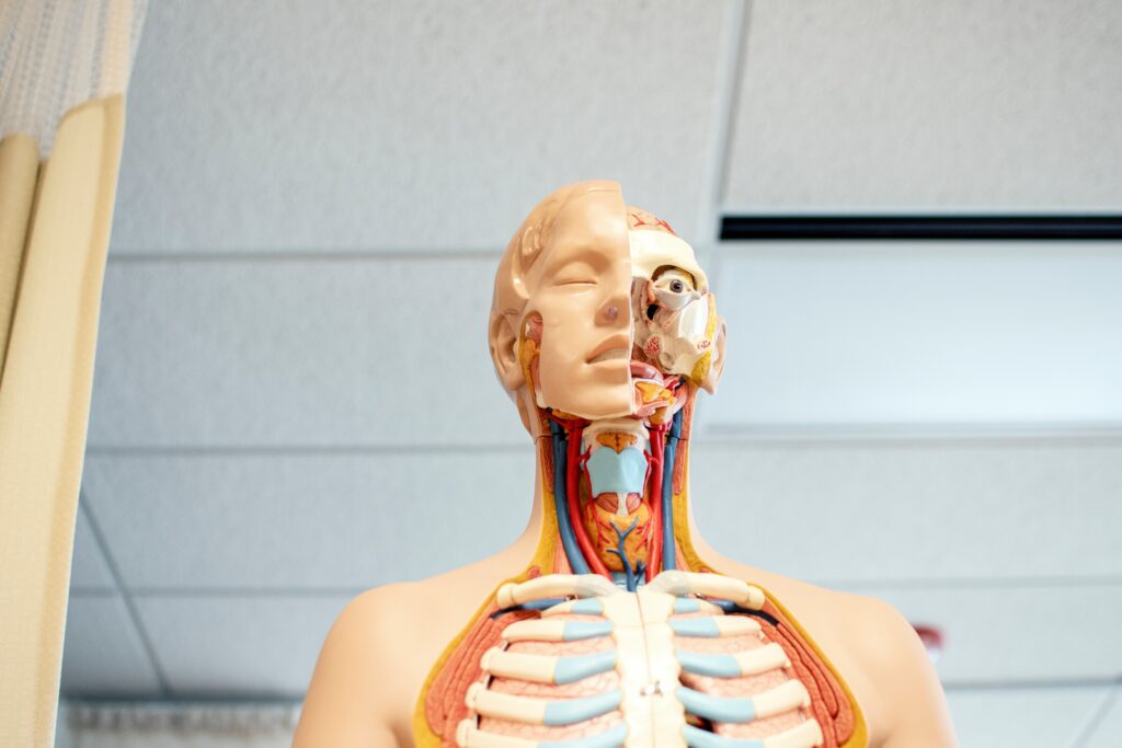 liceo biomedico test medicina