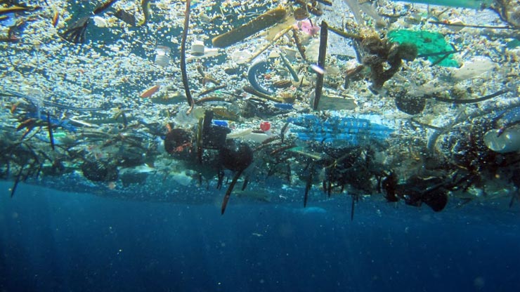 il 49% dei rifiuti deriva dal monouso