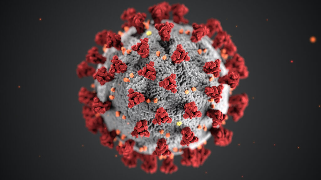 Il virus SARS-CoV-2 con le sue evidenti proteine spike. Credits: CDC/API/Gamma-Rapho via Getty Images