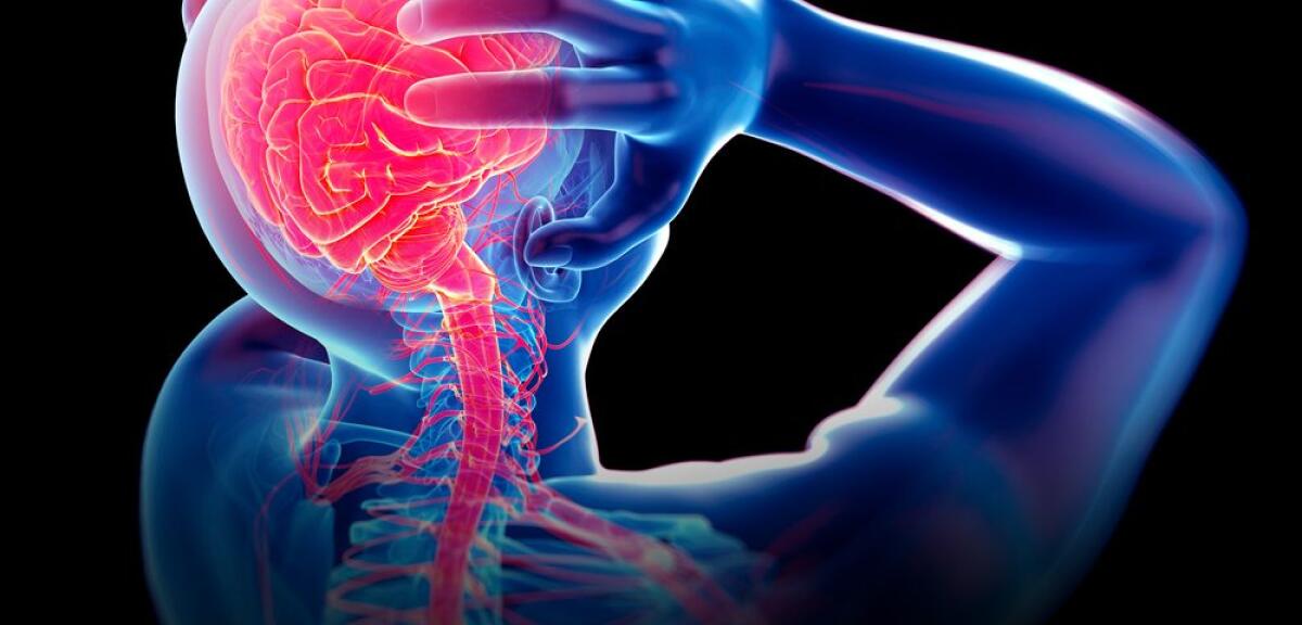 Dolore cronico: da sintomo a malattia e la terapia con neurostimolazione midollare - neurostimolazione dolore cronico OMNIA segnali elettrici cervello