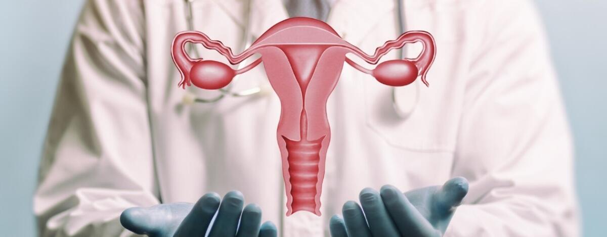 Effettuato a Catania il primo trapianto di utero in Italia - 