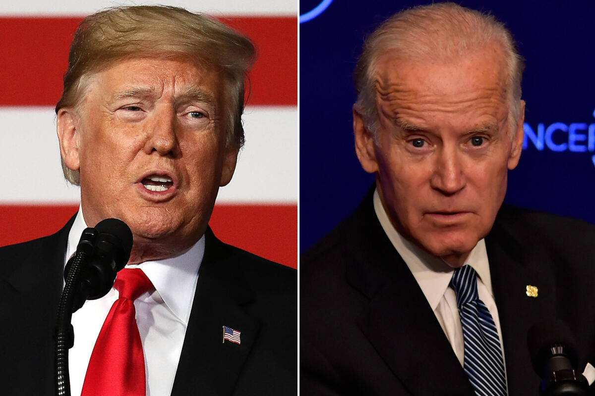 Elezioni USA 2020, clima e ambiente secondo Trump e Biden - tg24.sky.it