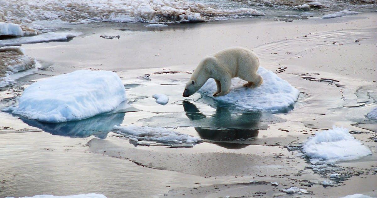 Artico: caldo da record segnalato dai satelliti Sentinel - Credits: bluewin.ch
