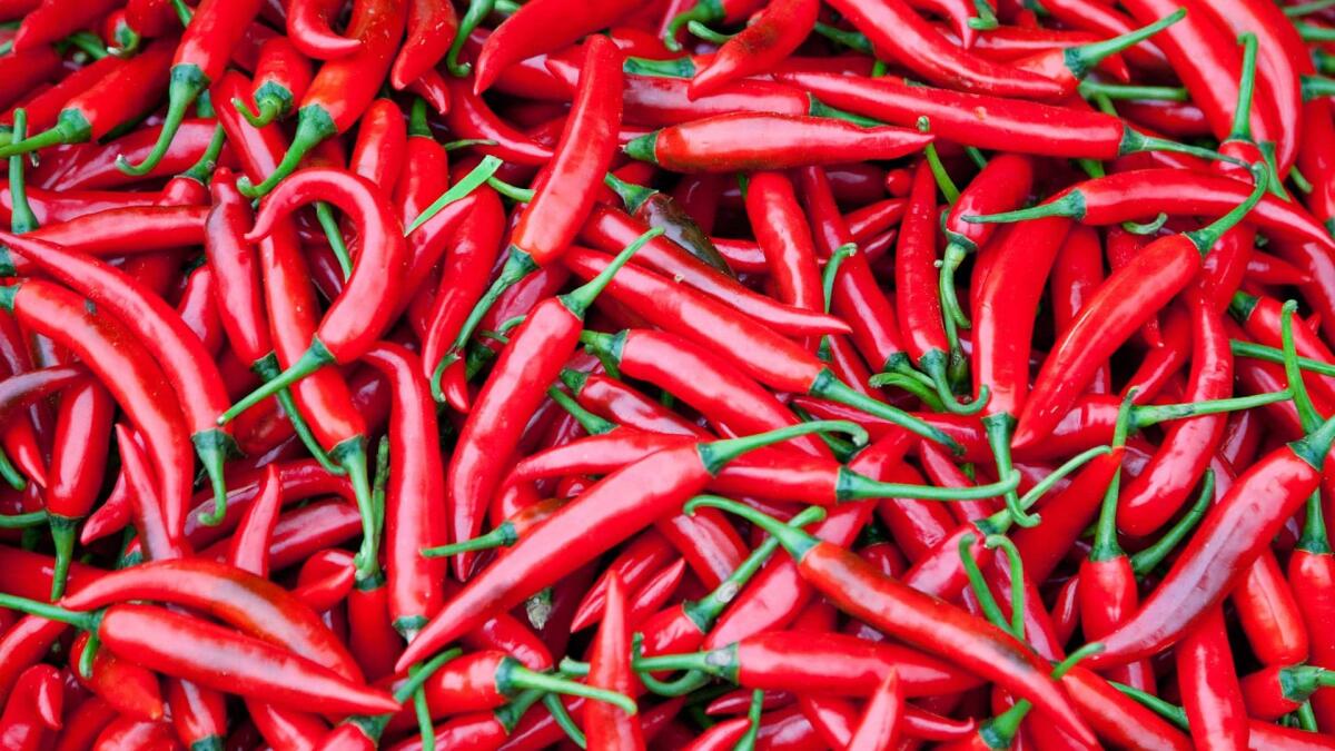 Perché il peperoncino fa andare la bocca in fiamme? - Il peperoncino e la scala scoville
Crediti: KTLA