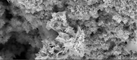 Visione di nanoparticelle TriboTEX attraverso un microscopio elettronicoCredits: TriboTEX