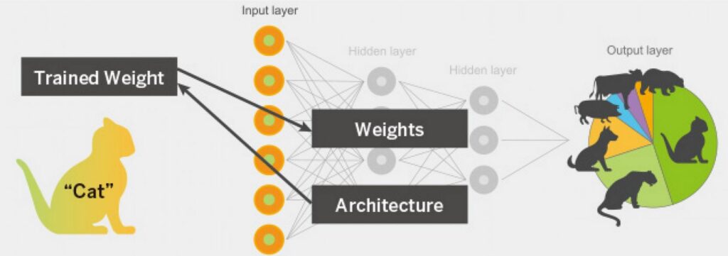La rete riconosce se il soggetto è un gatto grazie al deep learning.Credits: https://silicon.software/en/solutions/deep-learning/fpga-deep-learning