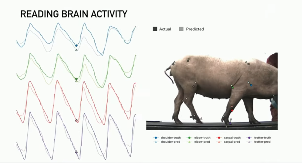 Movimento vero e movimento predetto di ogni arto