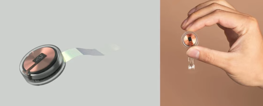 Neuralink, l'aggiornamento di agosto 2020 e la ricerca di nuovi collaboratori