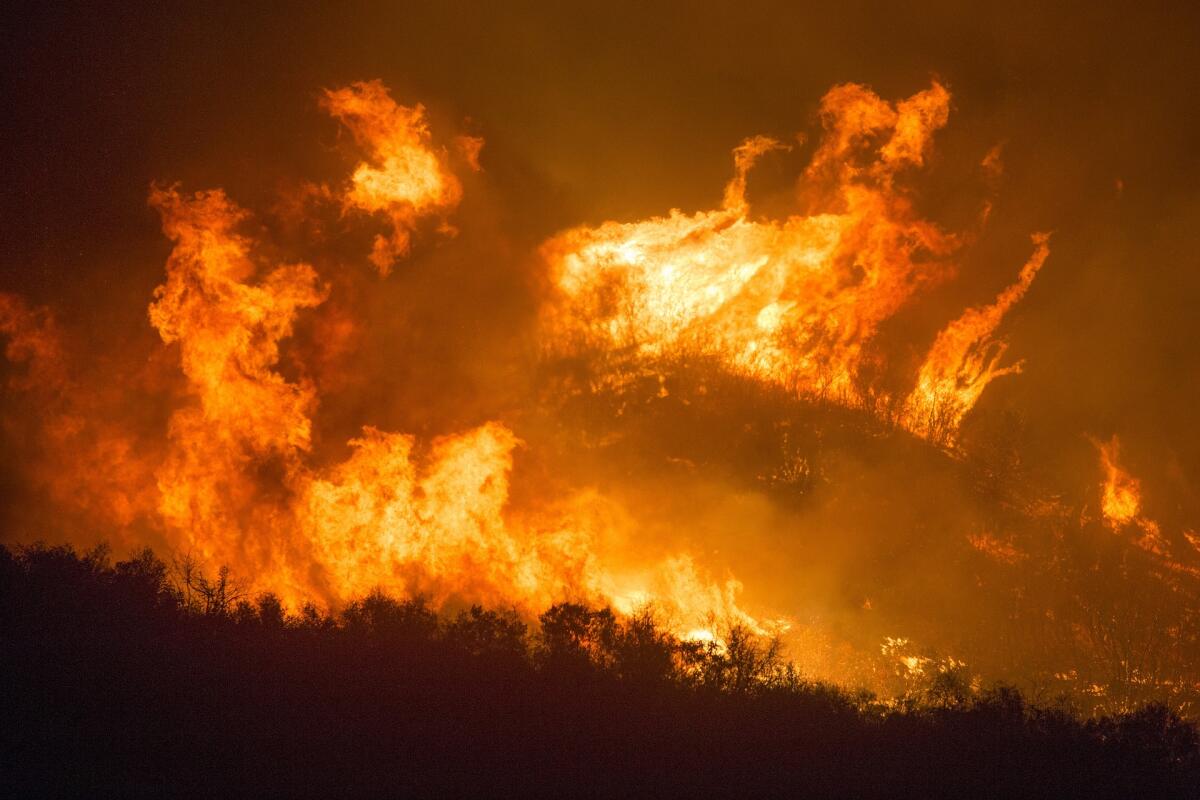 Incendi in California: più di 2 milioni di acri bruciati - pixabay.com