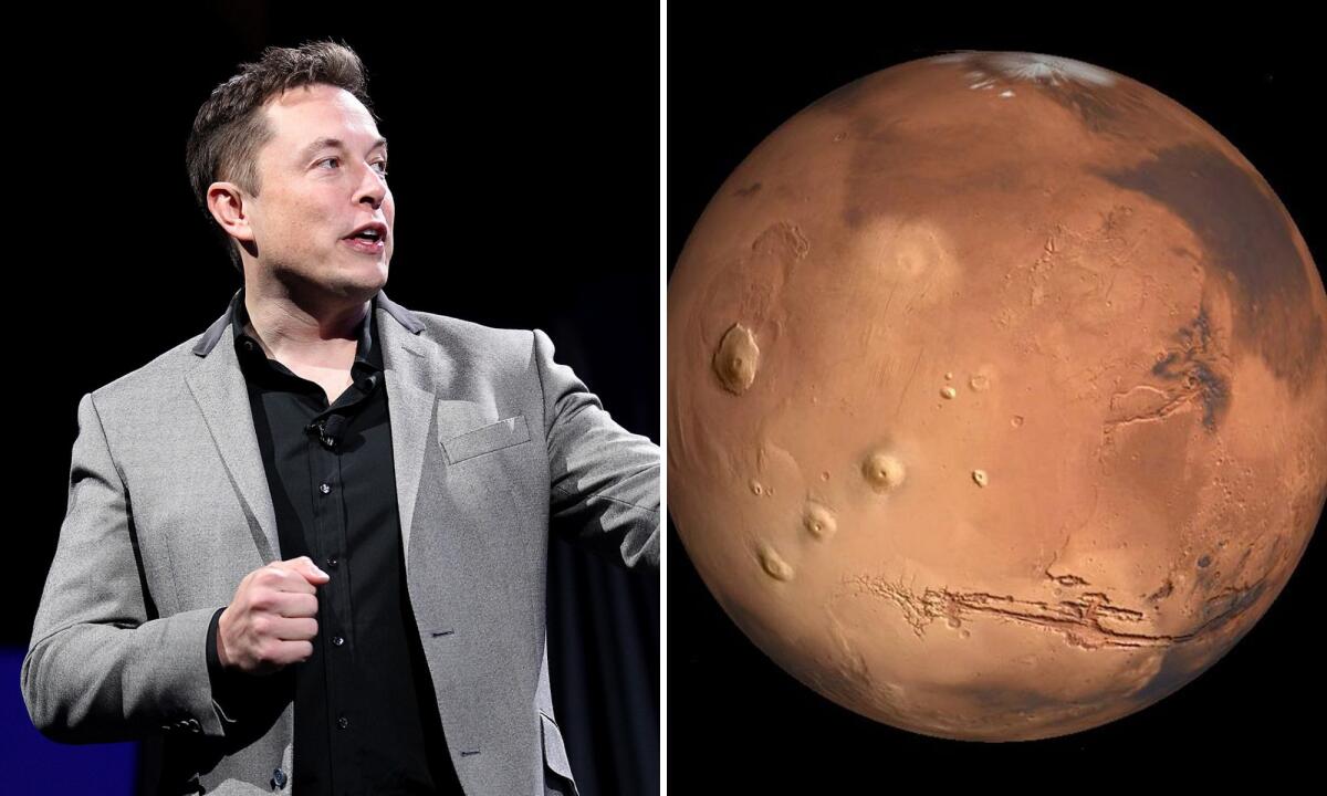 Elon Musk vuole costruire su Marte entro il 2050 - 