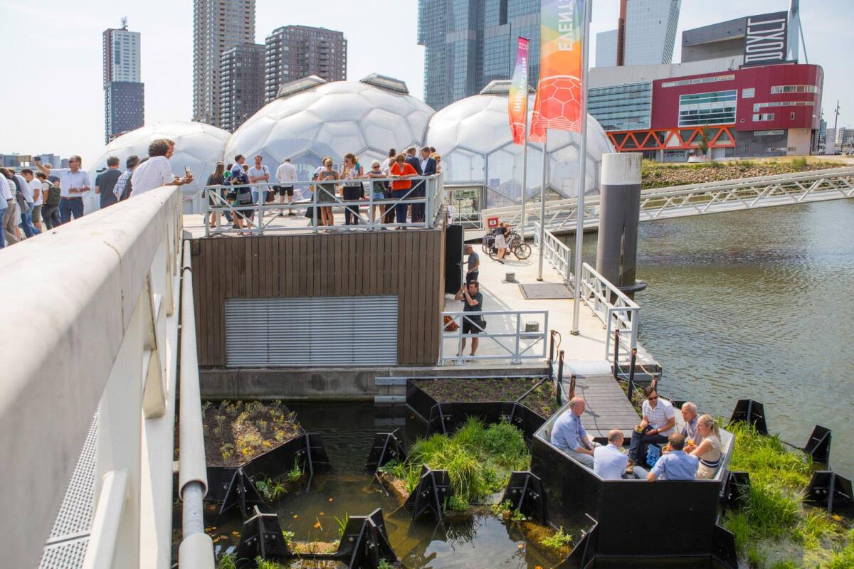 Un parco galleggiante creato da rifiuti plastici in Olanda - thegreenhubonline.com