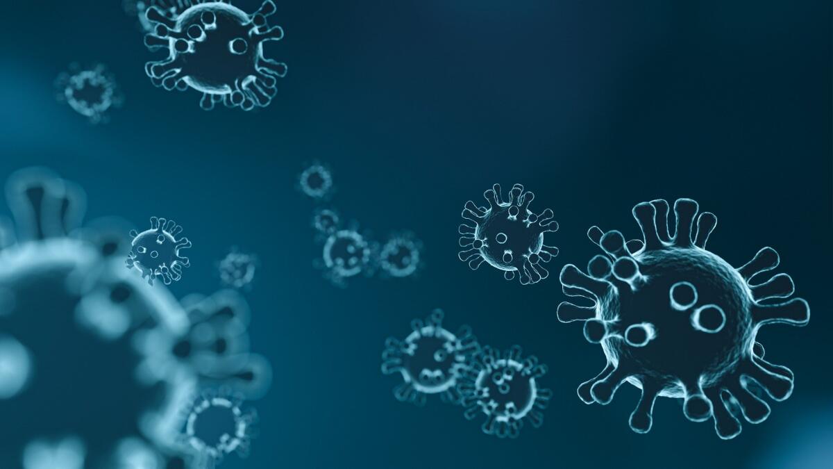 Coronavirus: come si calcola l'indice di contagiosità Rt? - Coronavirus: come si calcola l'indice di contagiosità Rt?