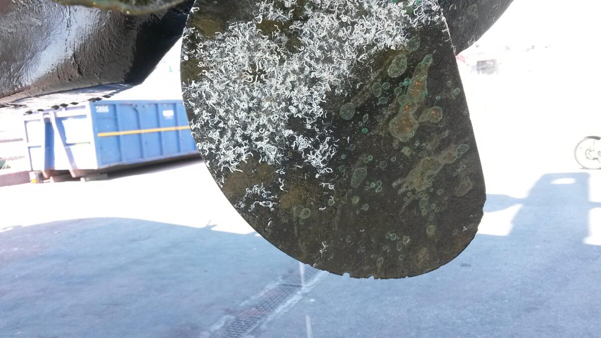 La corrosione galvanica, un grave pericolo per la nostra barca - 