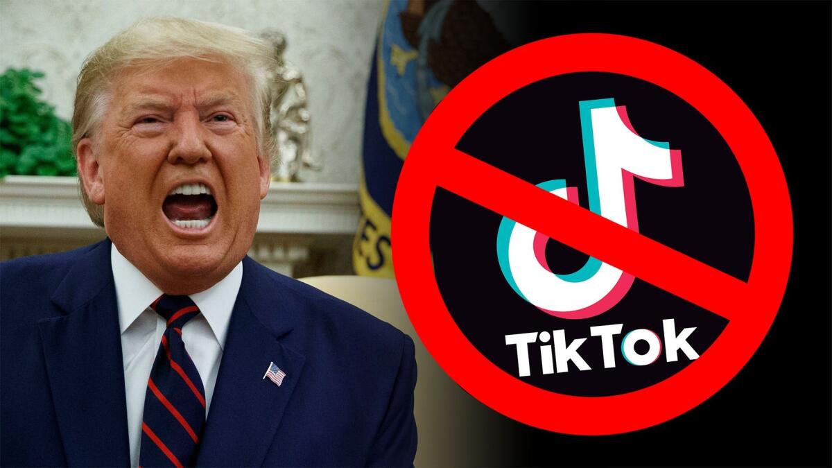 Trump banna TikTok e WeChat: proibito il download dal 20 Settembre - Trump banna Tiktok e WeChat. Credits: Times Tribune Blog