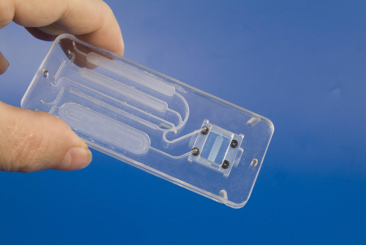 Il futuro della diagnostica passa per i Lab On Chip - Il futuro della diagnostica passa per i Lab On Chip
Credits: Università di Valencia - Positive
