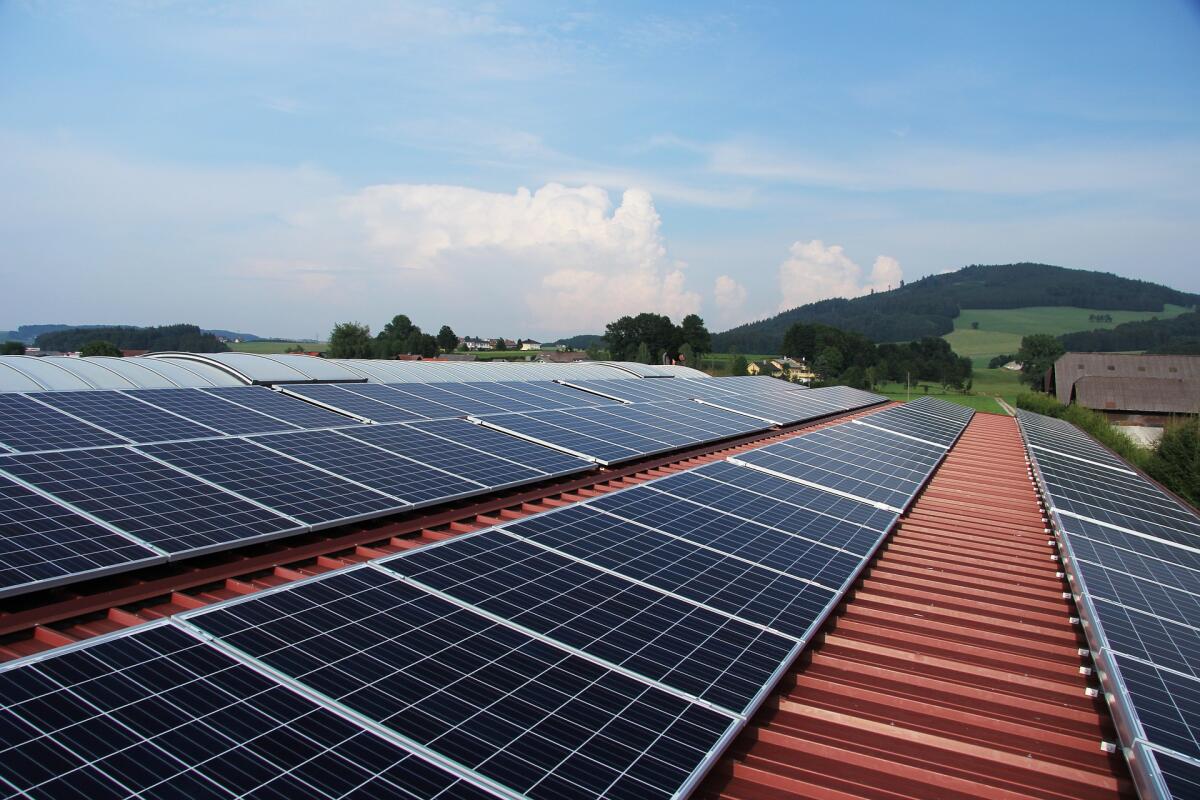 Ecosostenibilità: Green Bond cosa sono e come funzionano? - Ecosostenibilità: Green Bond cosa sono e come funzionano?
