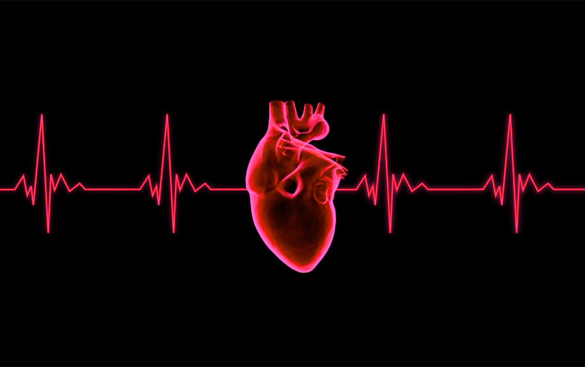 Storia del cuore artificiale, più di 50 anni d'innovazione - 