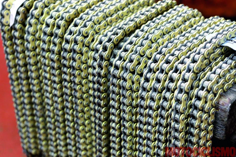 Catene Regina standard