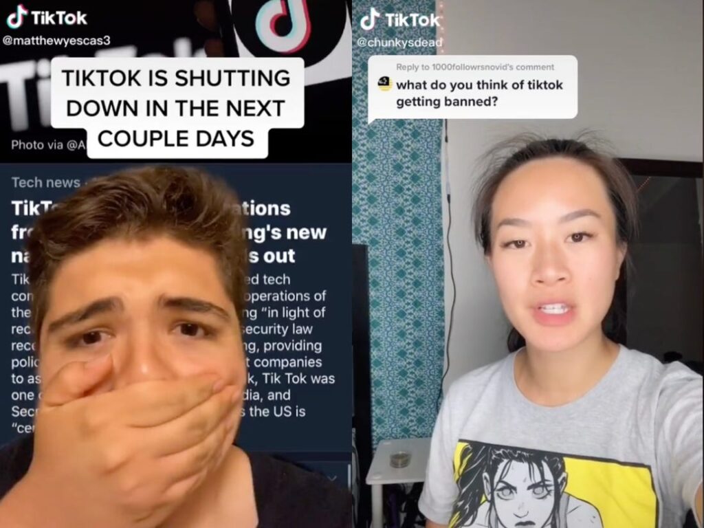 Trump banna TikTok e WeChat: le reazioni dei "tiktoker" non si sono fatte attendere. Credits: Insider