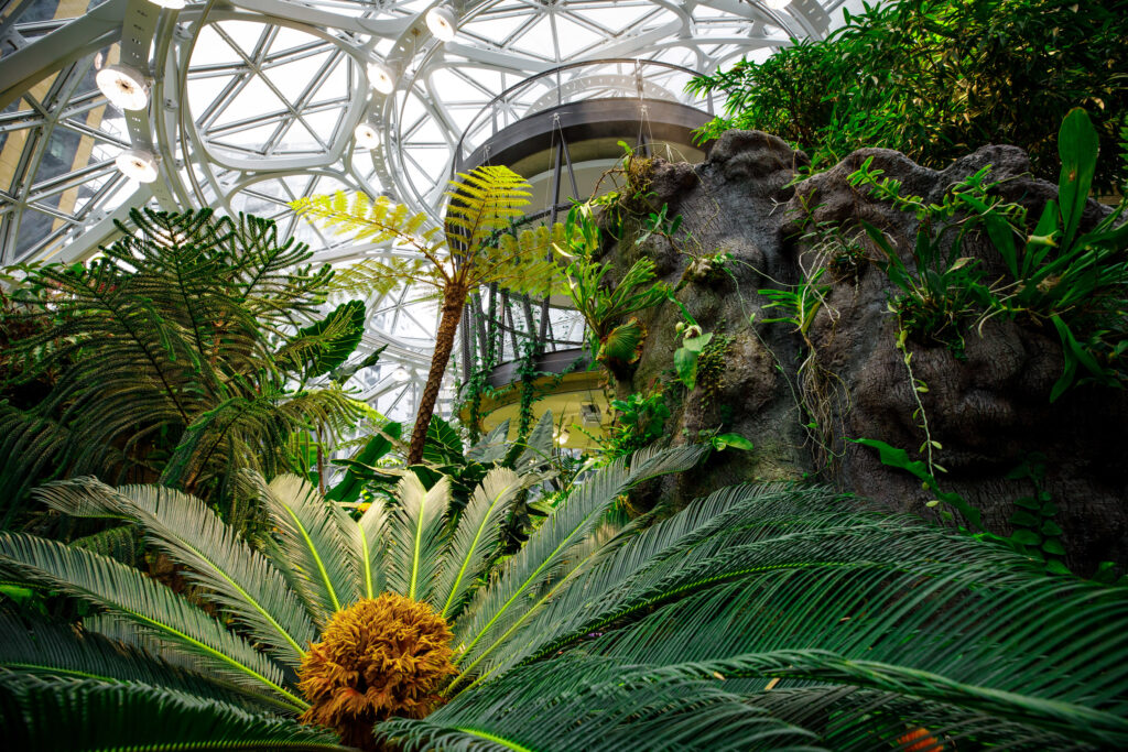 The Spheres, le sfere di vetro immerse nel verde sede di Amazon