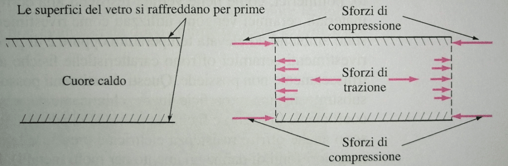 Schematizzazione del processo di raffreddamento e di formazione degli sforzi in una sezione di lastra di vetro. (WILLIAM F. SMITH 2012)