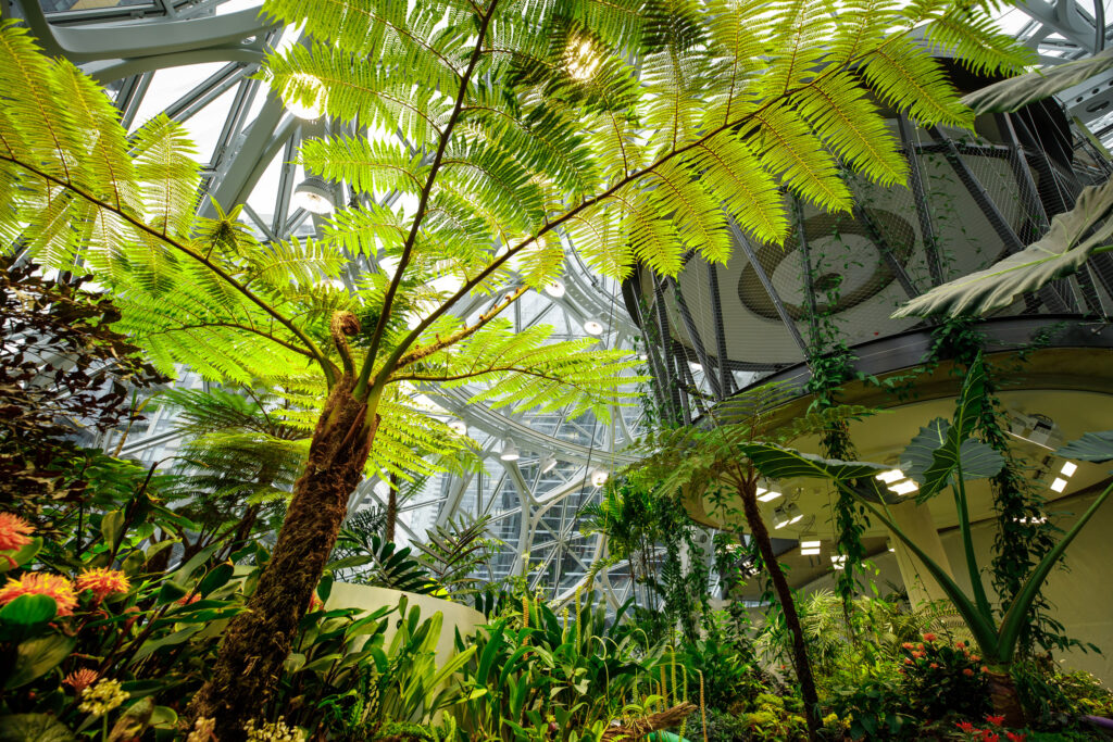 The Spheres, le sfere di vetro immerse nel verde sede di Amazon