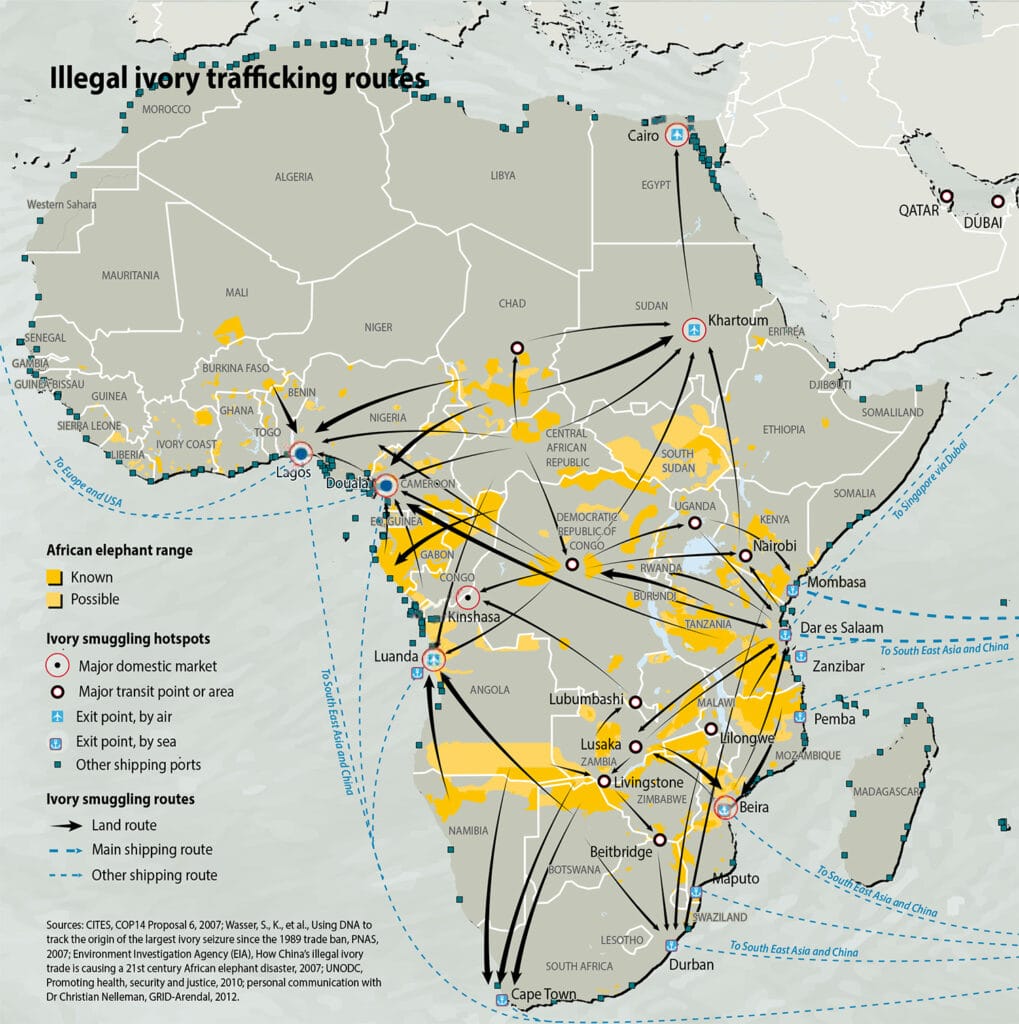 Mappa del traffico di avorio in Africa. Credits: Pengo Life Projects