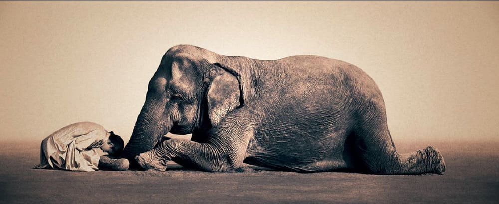 Credits: Gregory Colbert