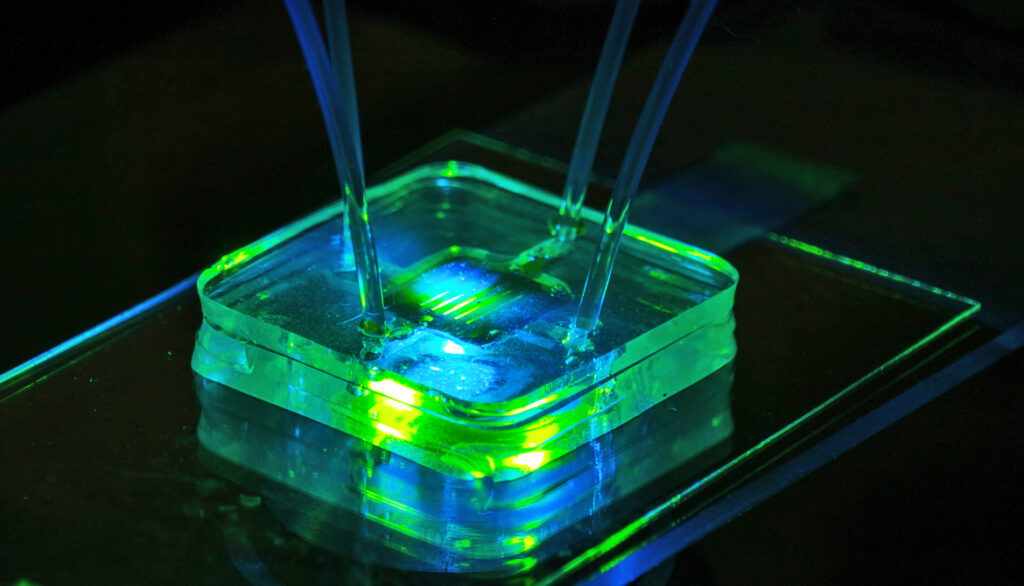 Esempio di Lab On Chip photo by J. Adam Fenster / University of Rochester