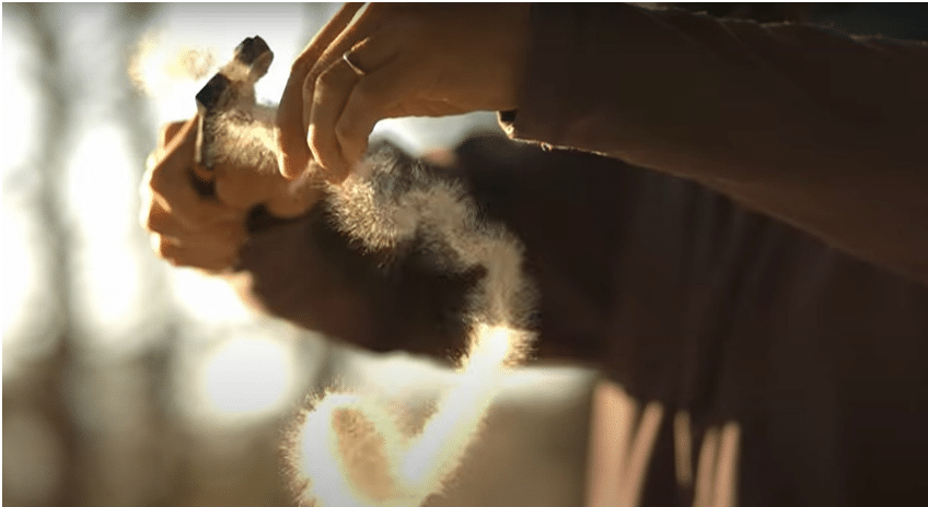 Sandlin, Mystery of Prince Rupert's Drop at 130,000 fps - Smarter Every Day 86 2013
